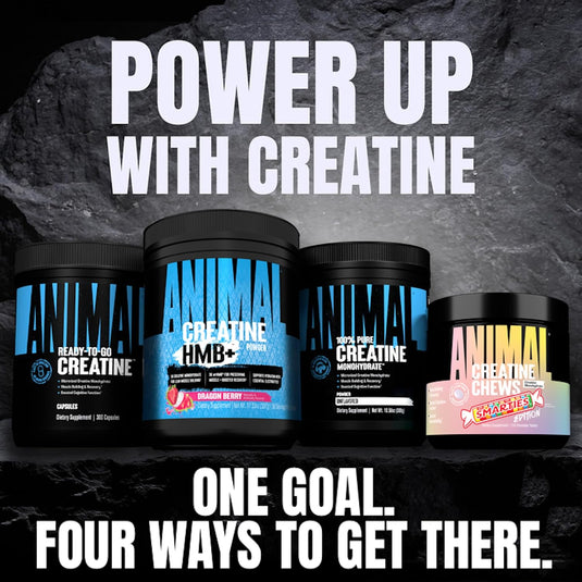 Animal Creatine HMB+