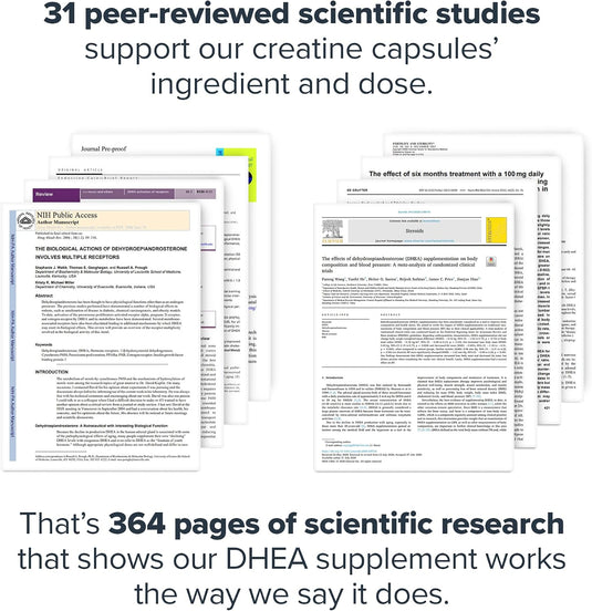 Legion Athletics - DHEA - Hormone Support