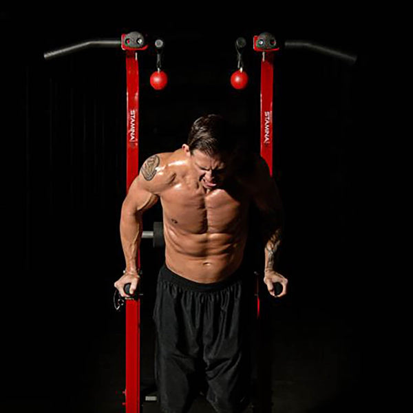 Stamina X Fortress Power Tower Home Gym Pull Up Fitness Workout