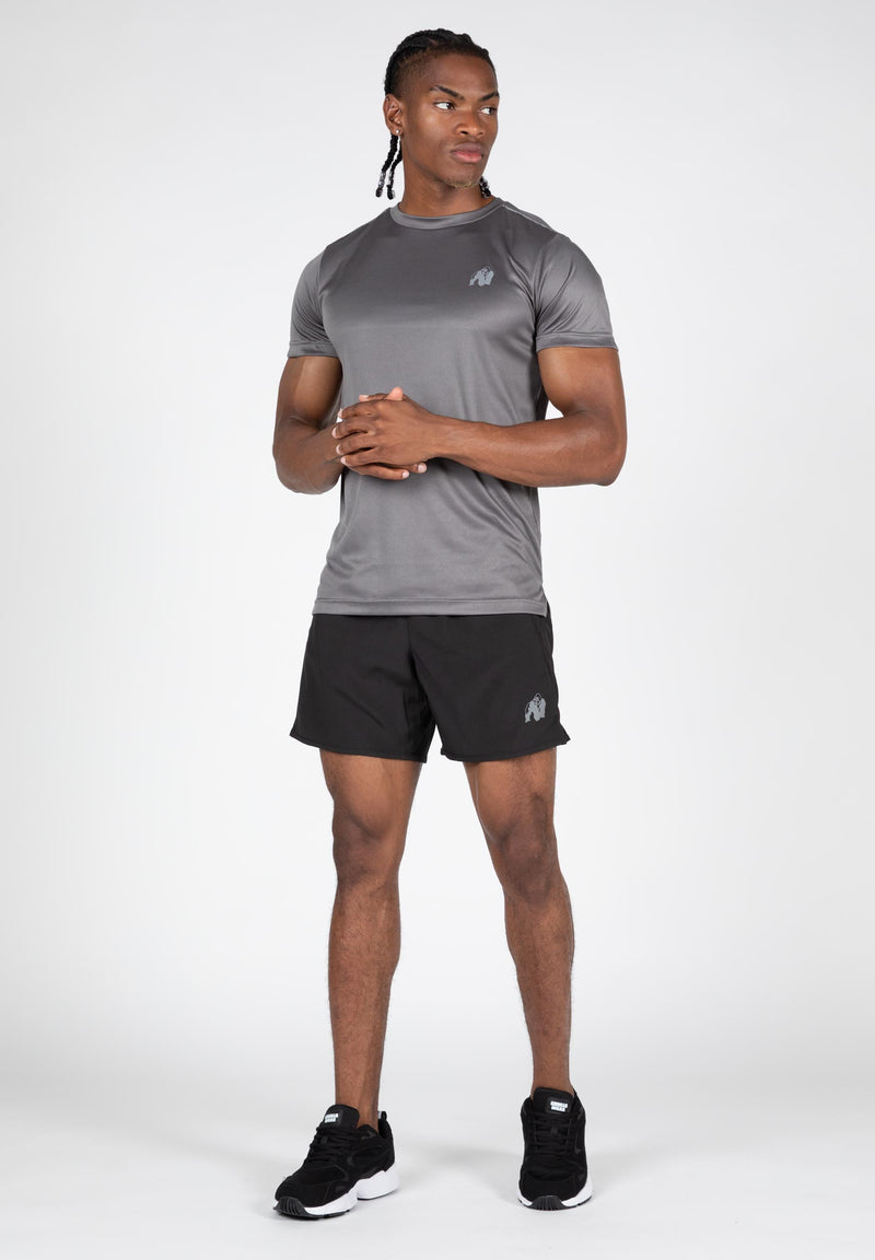 Load image into Gallery viewer, Washington T-Shirt - Gray
