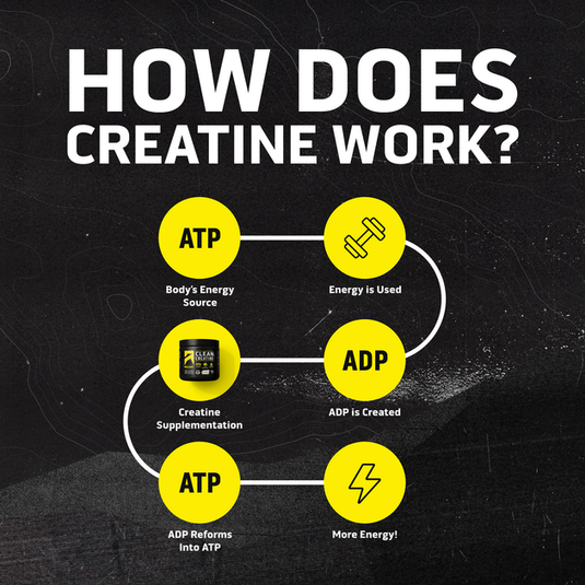 Ascent Clean Creatine 45 servings tub