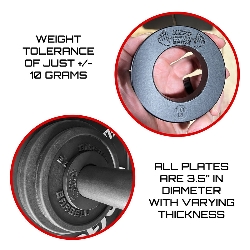 Load image into Gallery viewer, Micro Gainz Olympic Size Fractional Weight Plates Set of 8 Plates .25LB-1LB  w/ Bag
