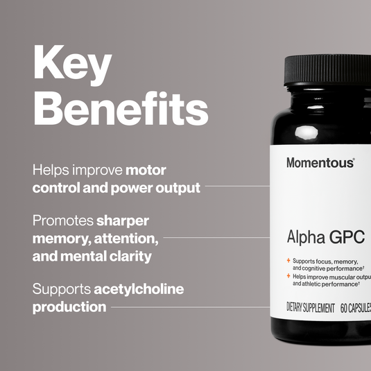 Momentous - Alpha GPC