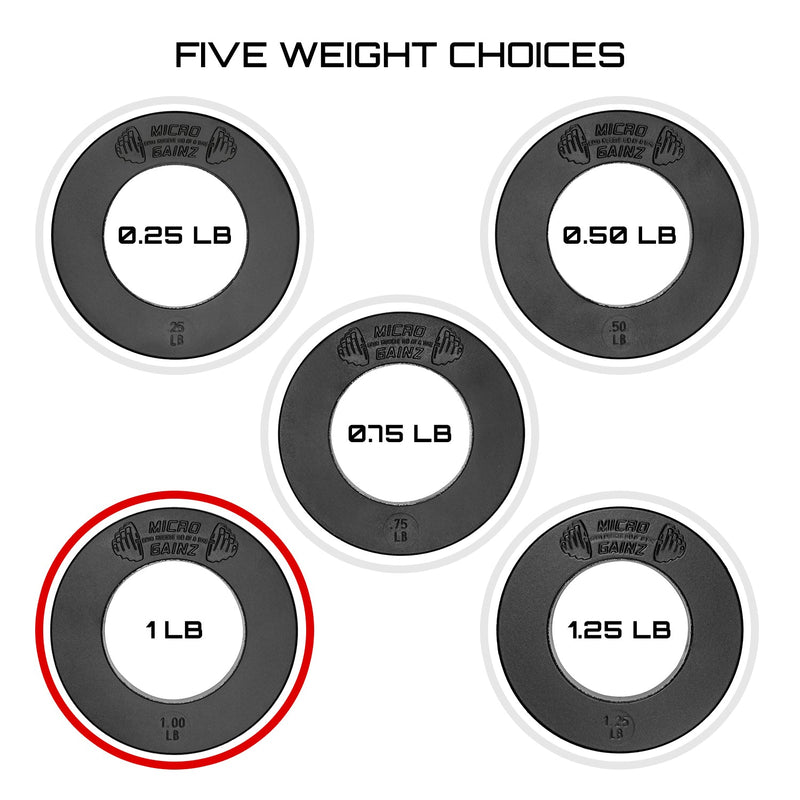 Load image into Gallery viewer, Micro Gainz Olympic Size Fractional Weight Plates Pair of 1LB Plates
