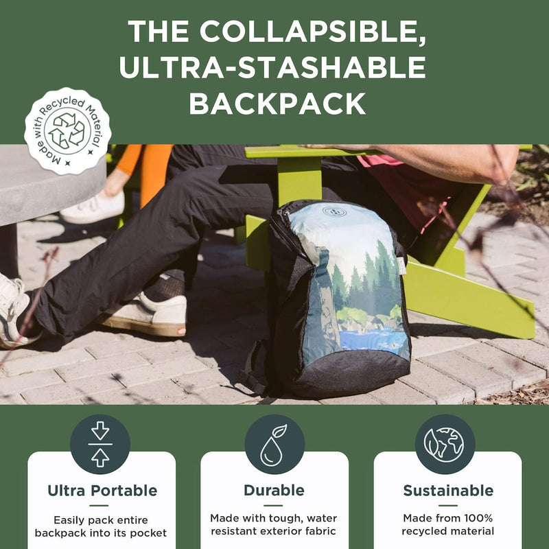 Load image into Gallery viewer, Collapsible Backpack
