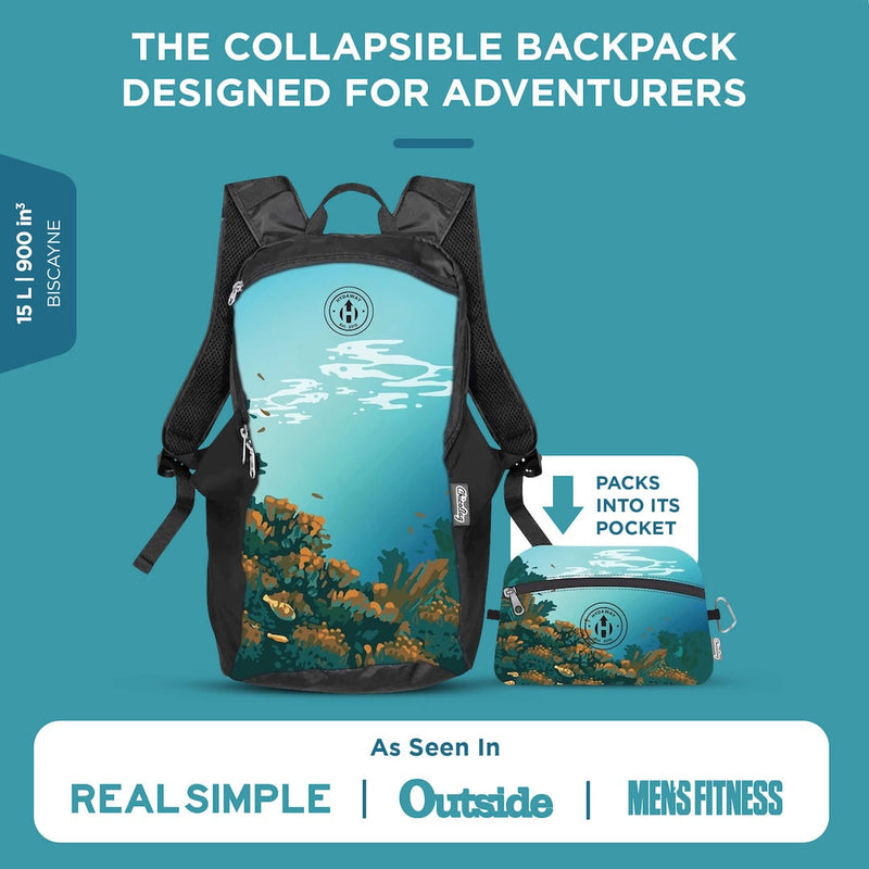 Load image into Gallery viewer, Collapsible Backpack
