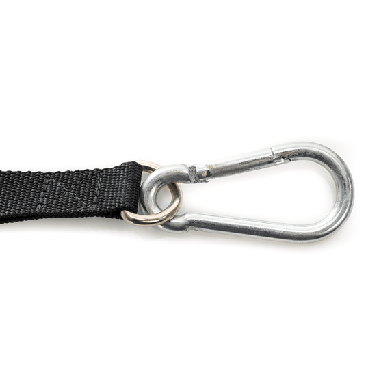 BC Strength - Foot Strap