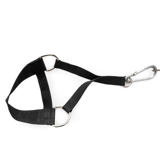 BC Strength - Foot Strap