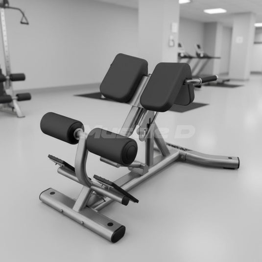 Muscle D Fitness - Back Extension Bench - Premium Upholstery Lower Back, Roman Chair