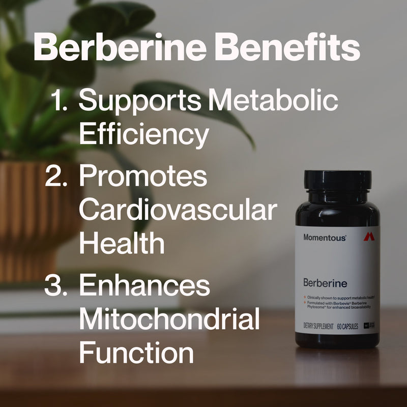 Load image into Gallery viewer, Momentous - Berberine - Vitamins &amp; Supplements
