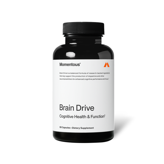Momentous - Brain Drive