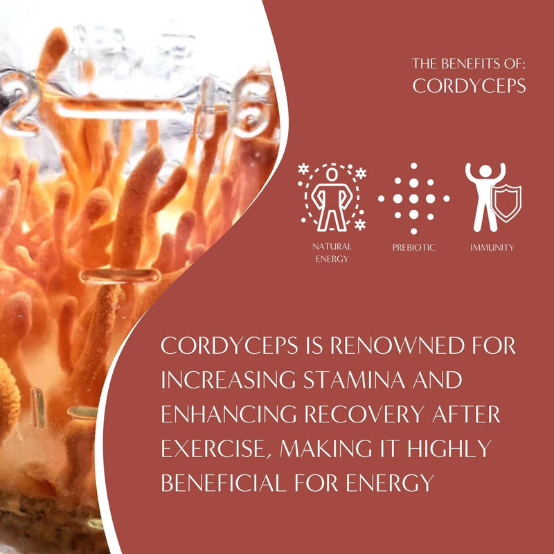 Load image into Gallery viewer, Teeccino - Cordyceps Schisandra Cinnamon Berry Mushroom Herbal Coffee
