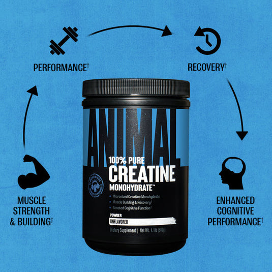 Animal Creatine lifestyle