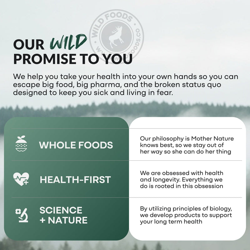 Load image into Gallery viewer, Wild Foods - Creatine Monohydrate - Vitamins &amp; Supplements
