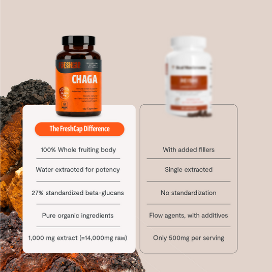 FreshCap Mushrooms - Chaga Mushroom Extract Capsules