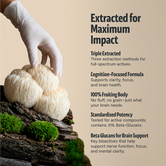 FreshCap Mushrooms - Organic Lion’s Mane Capsules