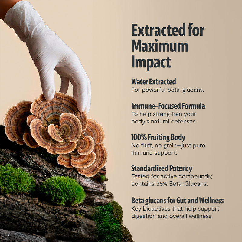 Load image into Gallery viewer, FreshCap Mushrooms - Organic Turkey Tail Mushroom Powder
