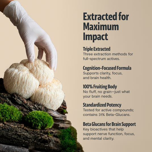 FreshCap Mushrooms - Organic Lion’s Mane Mushroom Powder
