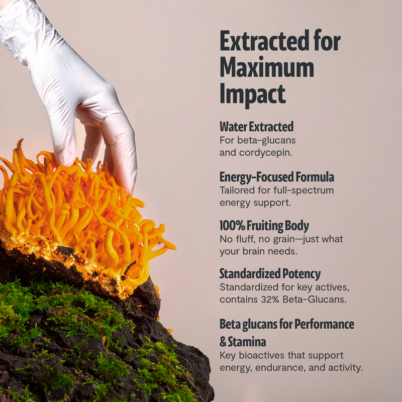 Load image into Gallery viewer, FreshCap Mushrooms - Organic Cordyceps Mushroom Supplement Capsules
