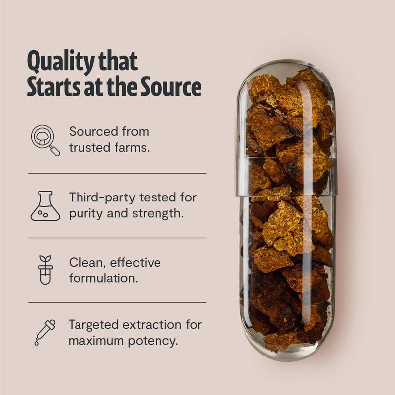 Load image into Gallery viewer, FreshCap Mushrooms - Chaga Mushroom Extract Capsules
