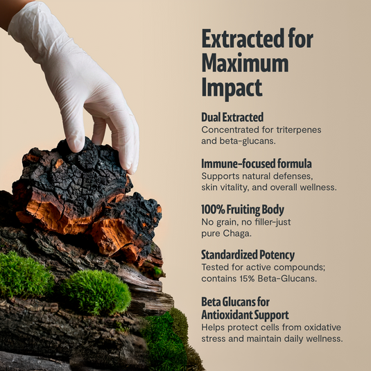 FreshCap Mushrooms - Chaga Mushroom Extract Capsules