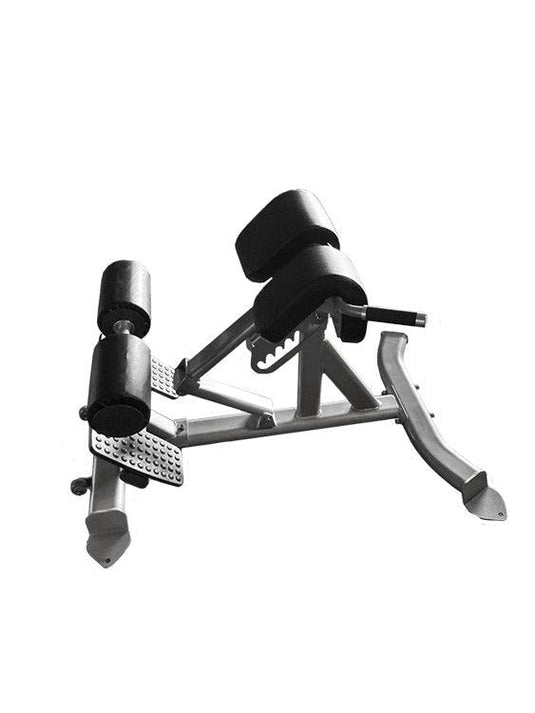 Muscle D Fitness - Back Extension Bench - Premium Upholstery Lower Back, Roman Chair
