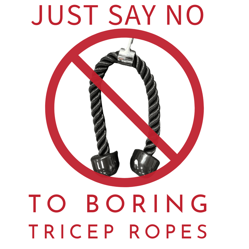 Load image into Gallery viewer, Squat Harness - Tri-Cones
