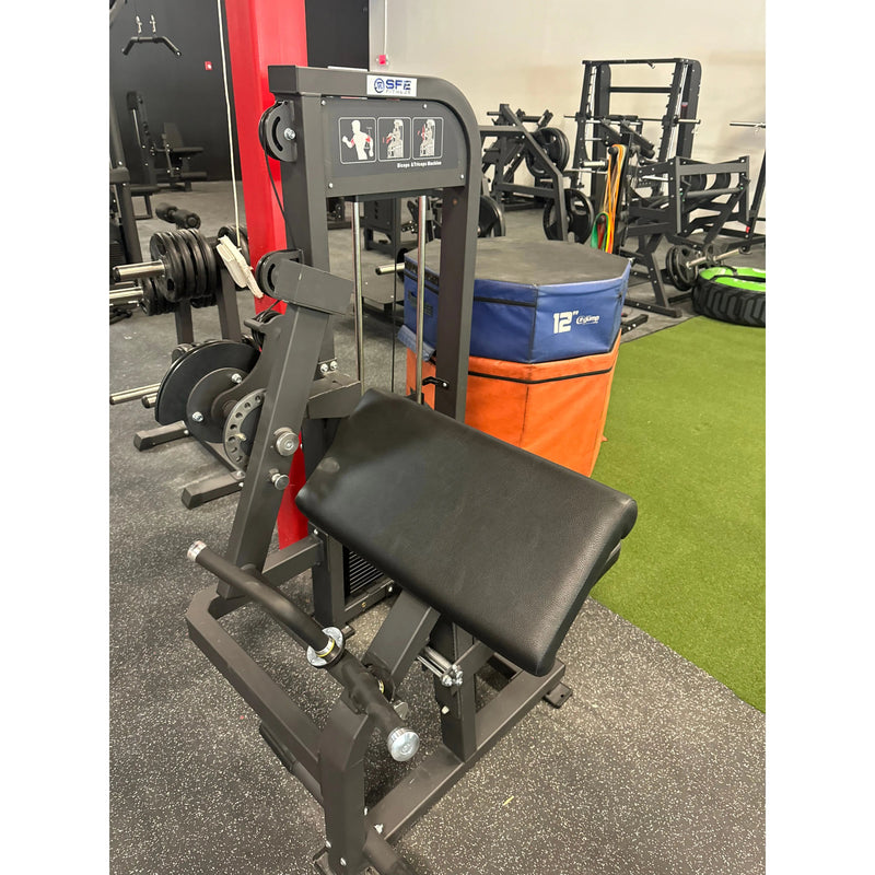 Load image into Gallery viewer, SFE - Commercial Bicep &amp; Tricep Combo Machine (New)
