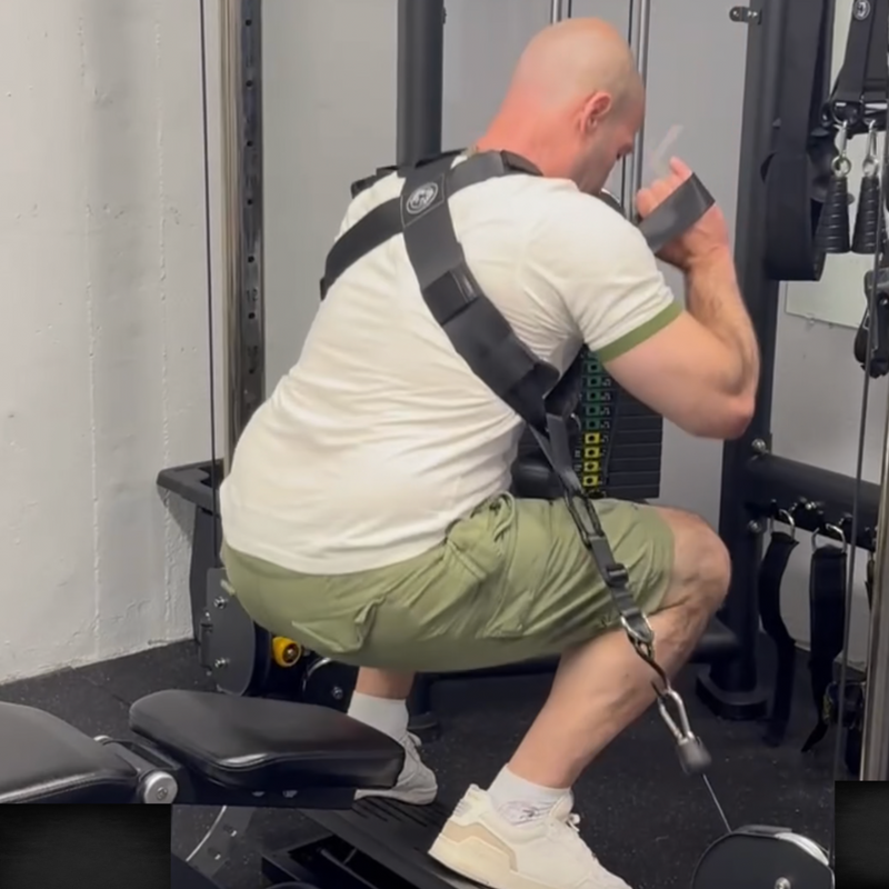 Load image into Gallery viewer, Squat Harness - V4

