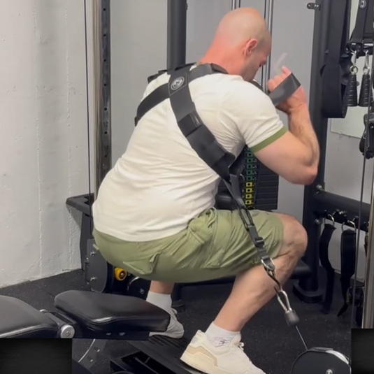 Squat Harness - V4