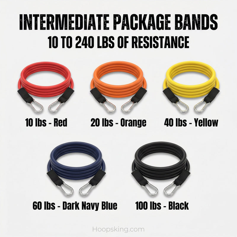 Load image into Gallery viewer, HoopsKing - Vertical Blitz Resistance Bands | For All Ages | Shoulders to Heels

