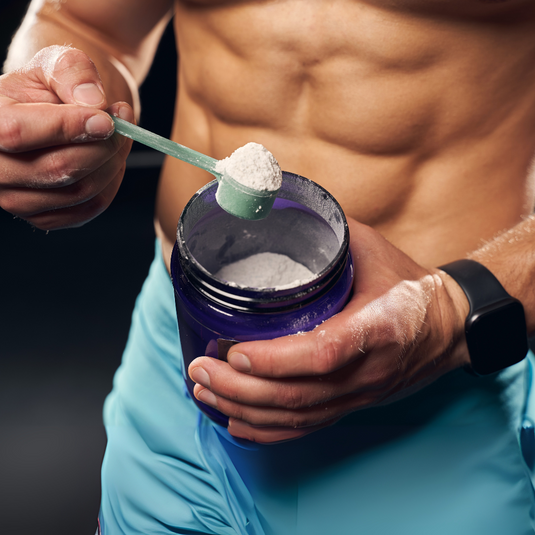 SUPPLEMENTS
