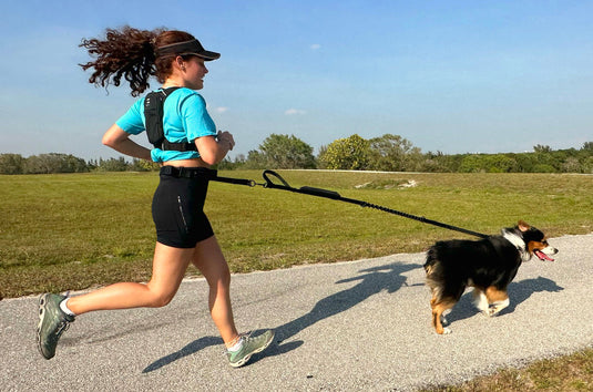 FITLY - Running Belt + Dog Leash - Canicross System