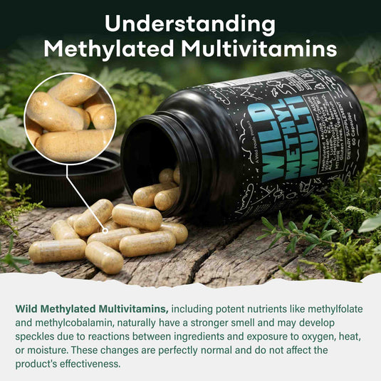 Wild Foods - Methylated Whole Food Multivitamin - Vitamins & Supplements