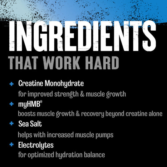 Animal Creatine HMB+ ingredients