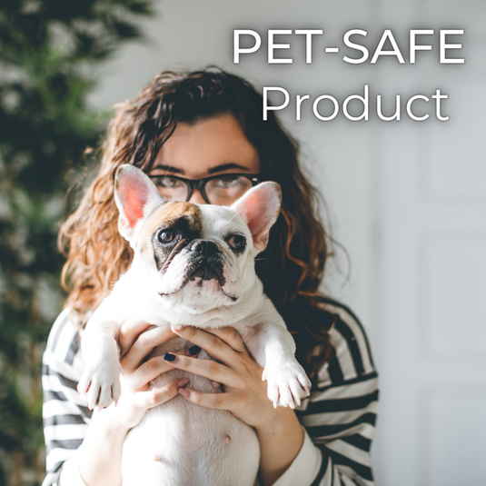 Wipex Co. - Natural Fitness Equipment Wipes – Safe on Skin, Essential Oil Formula