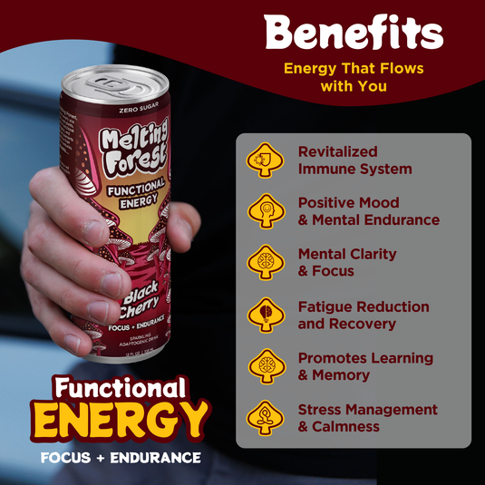 Melting Forest - Mushroom Energy Drink 12 Pack - Black Cherry