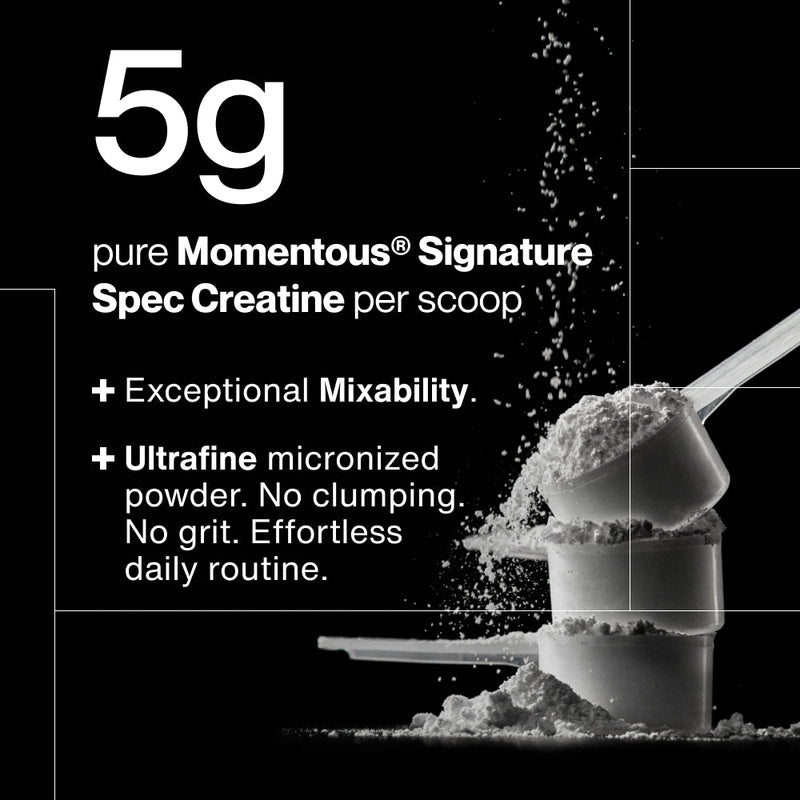 Load image into Gallery viewer, Momentous - Creatine - 60 Servings
