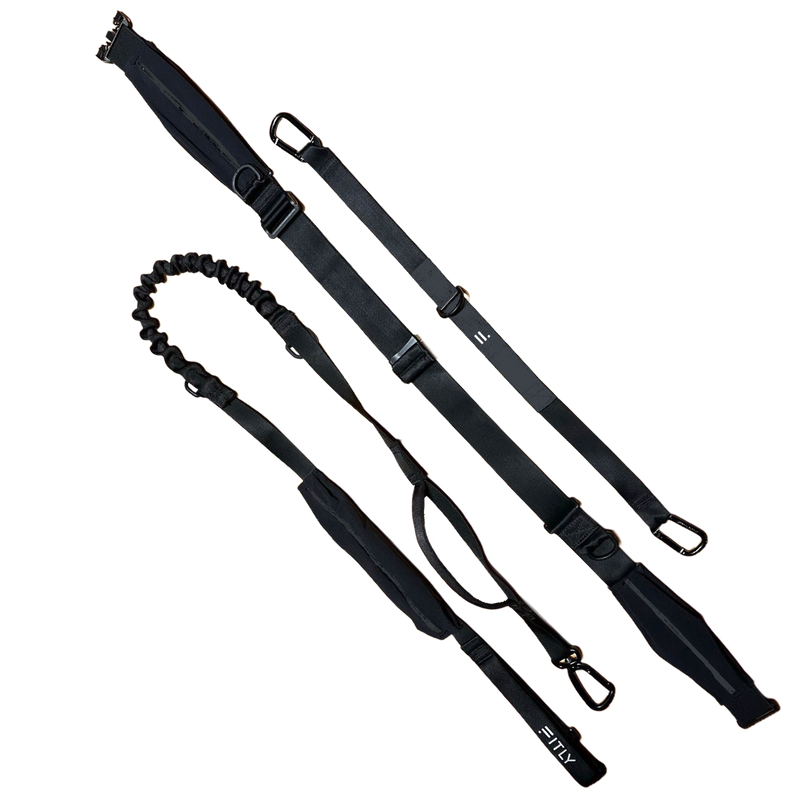Load image into Gallery viewer, FITLY - Running Belt + Dog Leash - Canicross System
