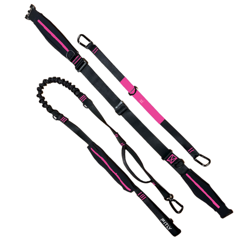 Load image into Gallery viewer, FITLY - Running Belt + Dog Leash - Canicross System
