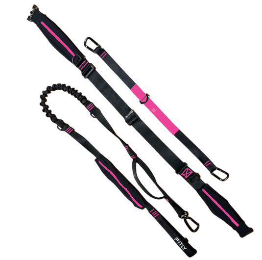 FITLY - Running Belt + Dog Leash - Canicross System