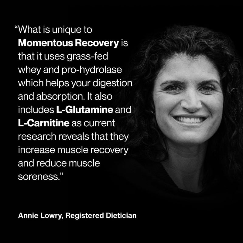 Load image into Gallery viewer, Momentous - In Recovery
