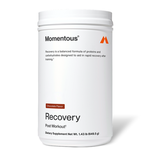 Momentous - In Recovery