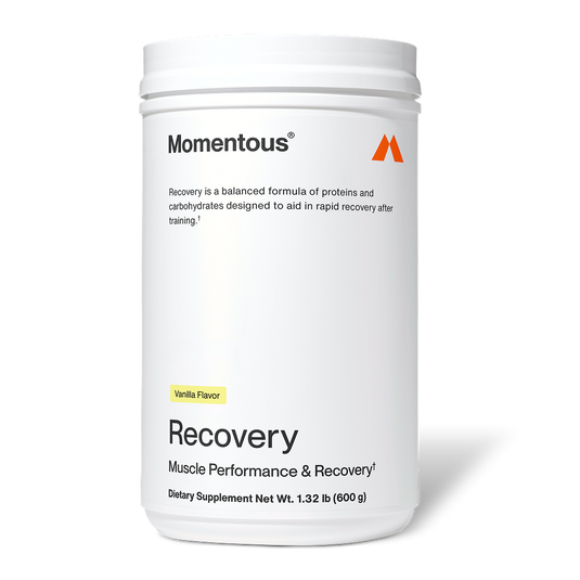Momentous - In Recovery