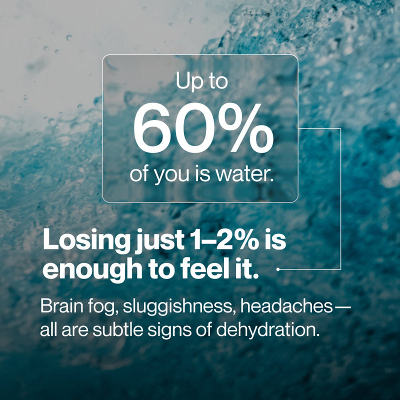 Load image into Gallery viewer, Momentous - Daily Hydration Electrolyte Powder

