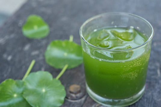 Rockin' Wellness - Organic Energy Greens Powder | The Ultimate Daily Alkalizing Reset