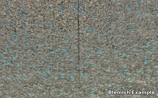 Load image into Gallery viewer, Rubber Tile with Blemish Example 3
