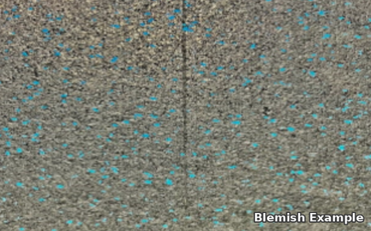 Rubber Tile with Blemish Example 3