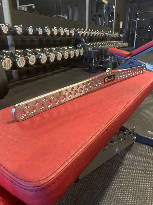 Stainless Steel LITE D-HANDLE BAR 20" by GymPin