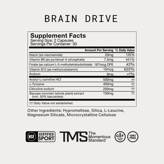 Momentous - Brain Drive